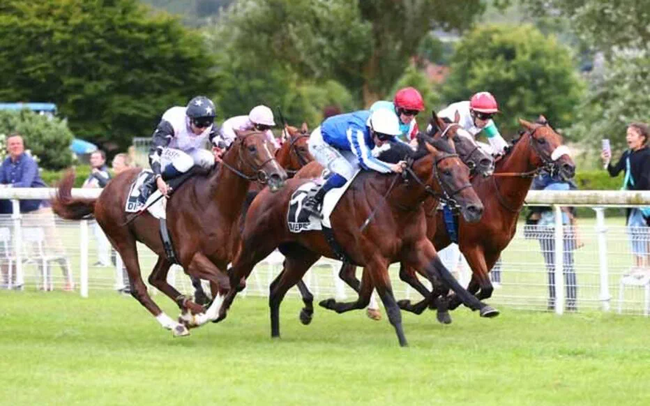 Bataille passionnante pour le Prix Toyota Toys Motors