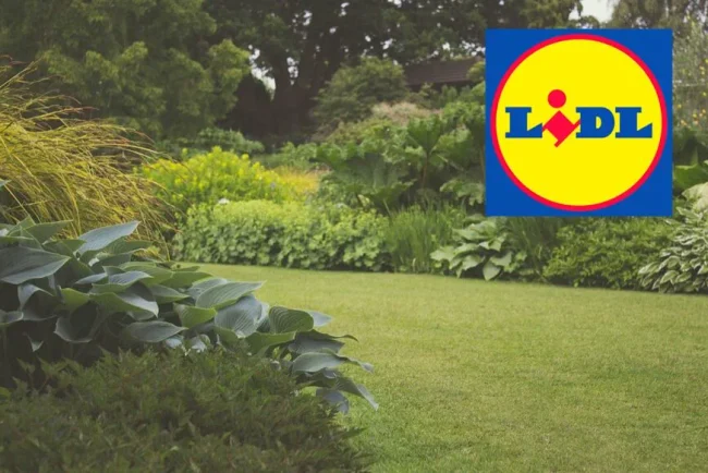 Broyeur à rotor Parkside : transformez vos déchets végétaux en paillis nutritif