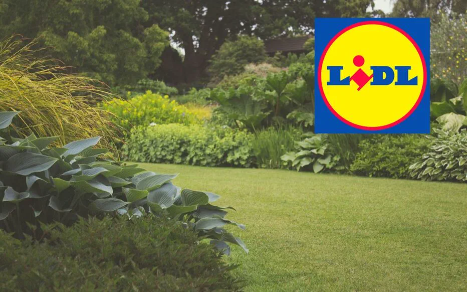 Broyeur à rotor Parkside : transformez vos déchets végétaux en paillis nutritif