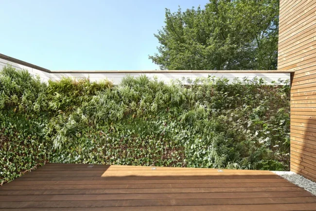 Camoufler un mur peu attrayant : au-delà du lierre