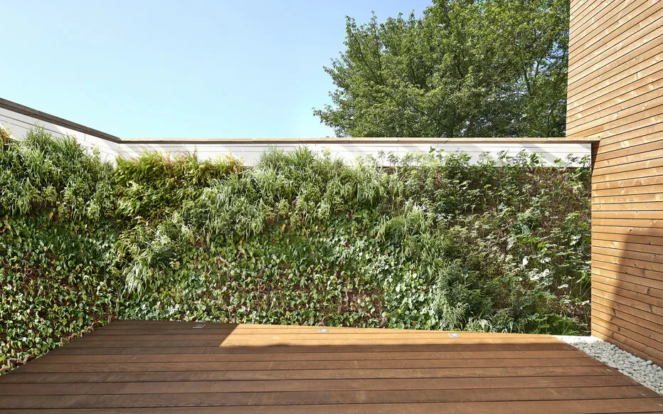 Camoufler un mur peu attrayant : au-delà du lierre