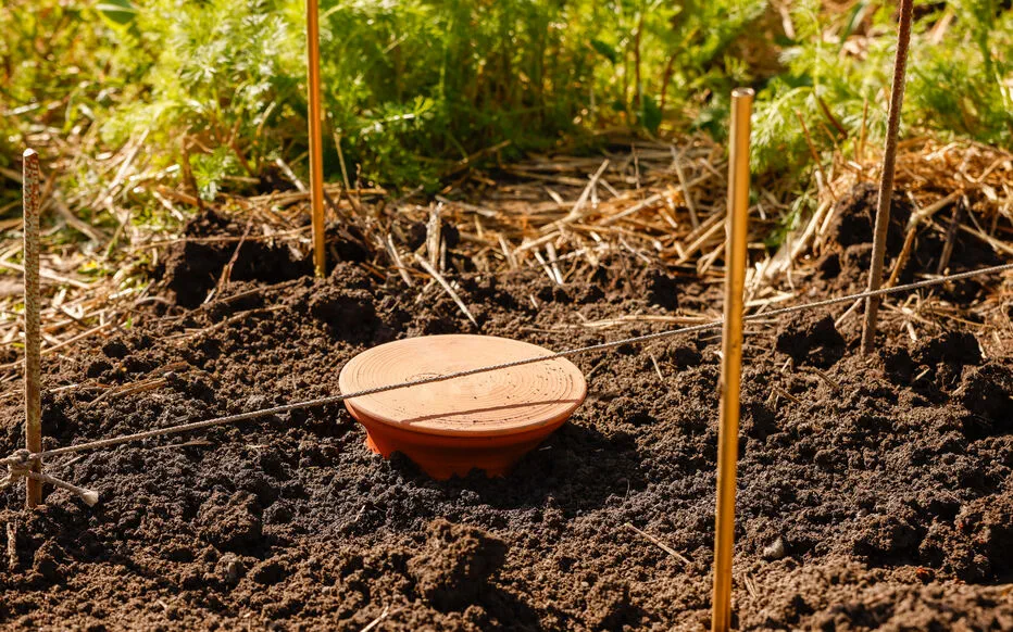 Comment arroser efficacement votre jardin cet été : les oyas sont la solution !