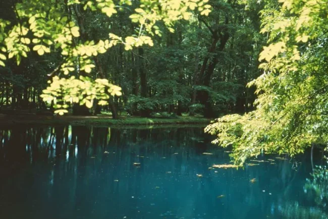 Découvrez le charmant château de Beaulon et ses jardins en Charente-Maritime