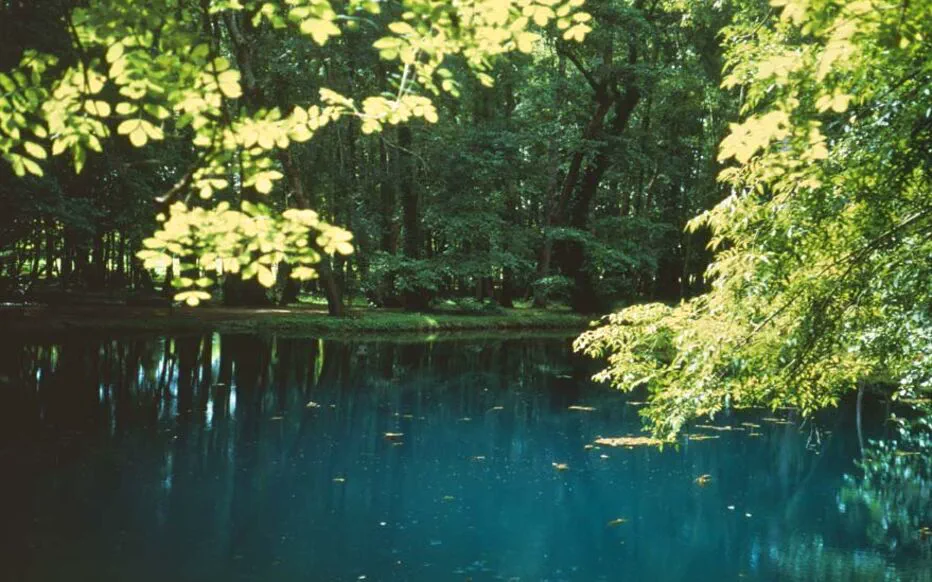 Découvrez le charmant château de Beaulon et ses jardins en Charente-Maritime