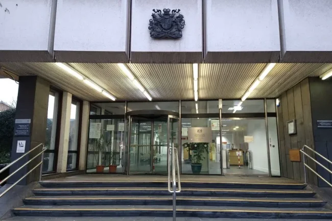 Des adolescents condamnent à la prison pour acte de cruauté envers des chatons