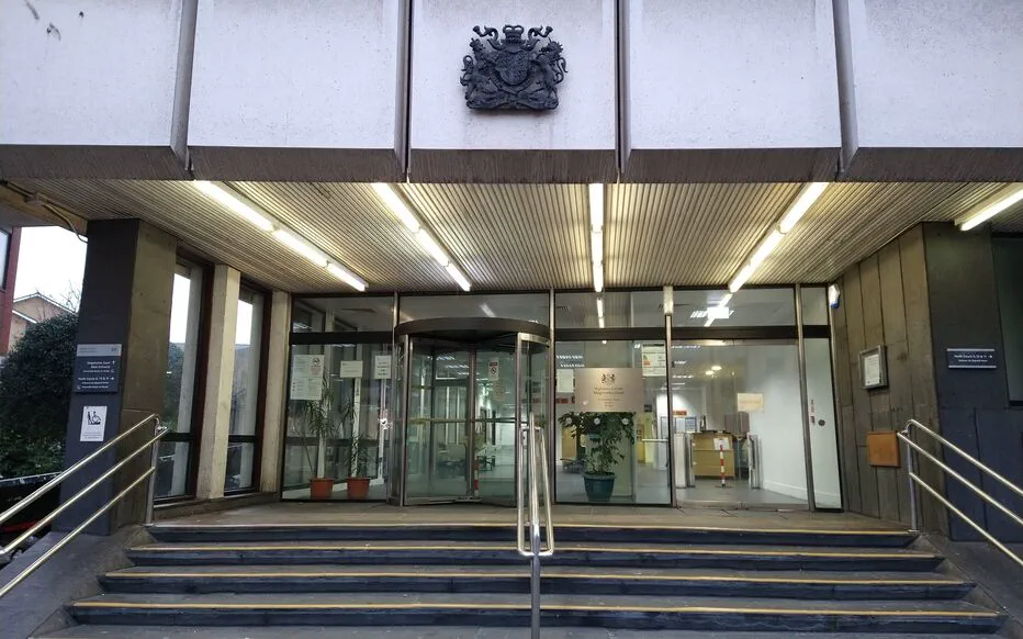 Des adolescents condamnent à la prison pour acte de cruauté envers des chatons