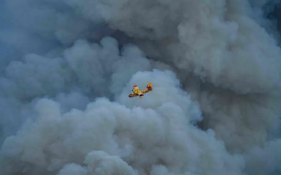 Feu de forêt complexe en Narbonne : les pompiers luttent contre les flammes et les vents violents