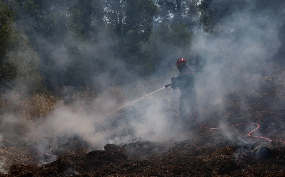 Feu de vigne : la bataille des pompiers se poursuit