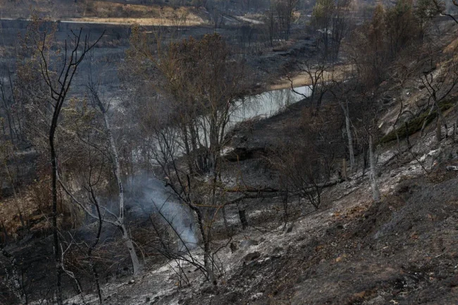 Feu: les profils types et leur motivation révélés