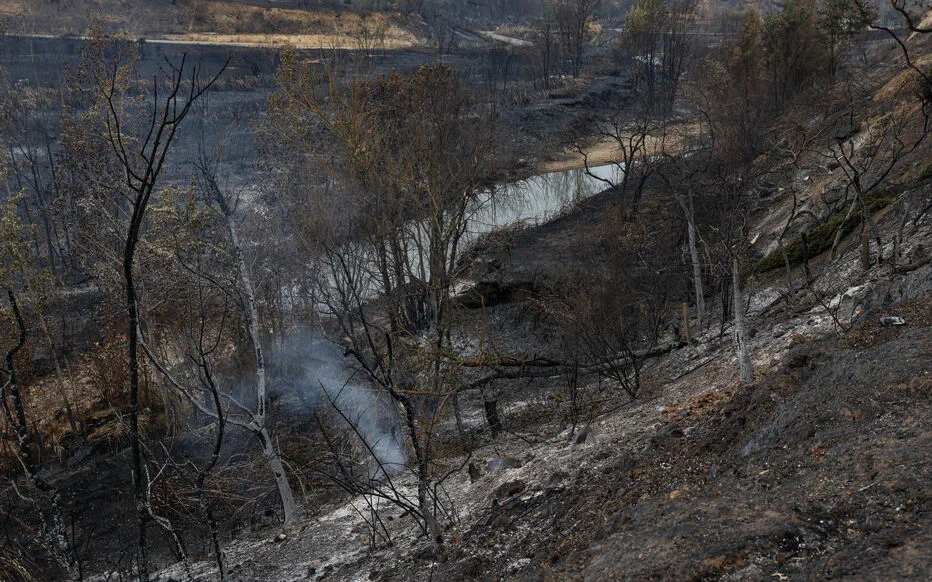 Feu: les profils types et leur motivation révélés