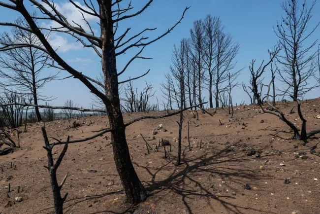 Incendie de l'Aude : une lutte complexe pour éradiquer les flammes