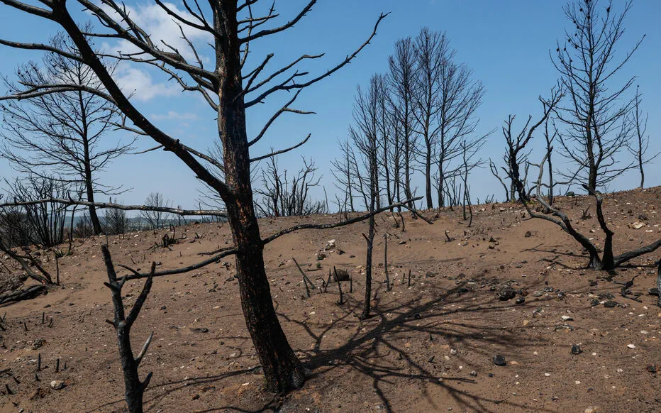 Incendie de l'Aude : une lutte complexe pour éradiquer les flammes
