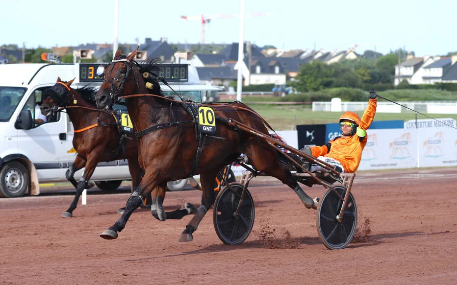 Indy de Jyr domine le Quinté au Grand National du Trot