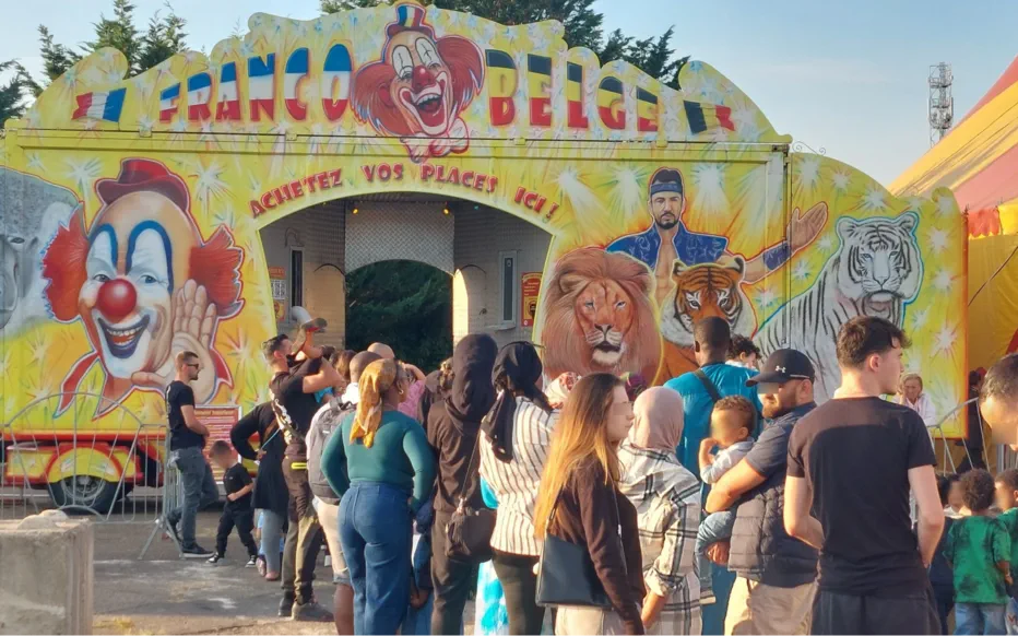 La polémique sur les tigres blancs de Buchelay éclipsée par leur beauté