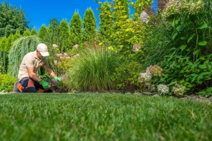 Le gouvernement français envisage de supprimer des avantages fiscaux pour les petits travaux de jardinage
