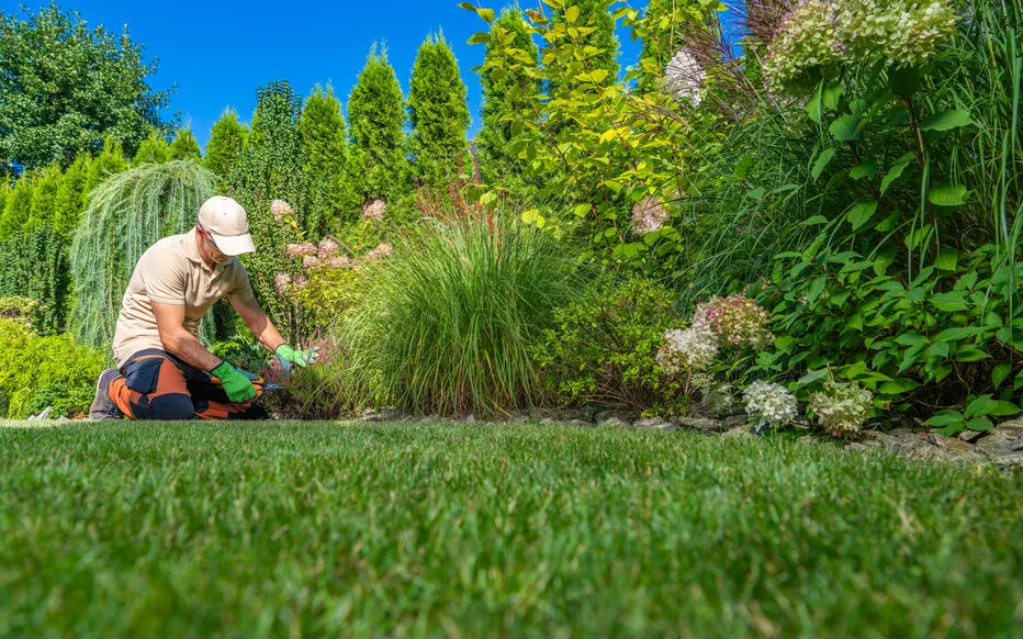 Le gouvernement français envisage de supprimer des avantages fiscaux pour les petits travaux de jardinage
