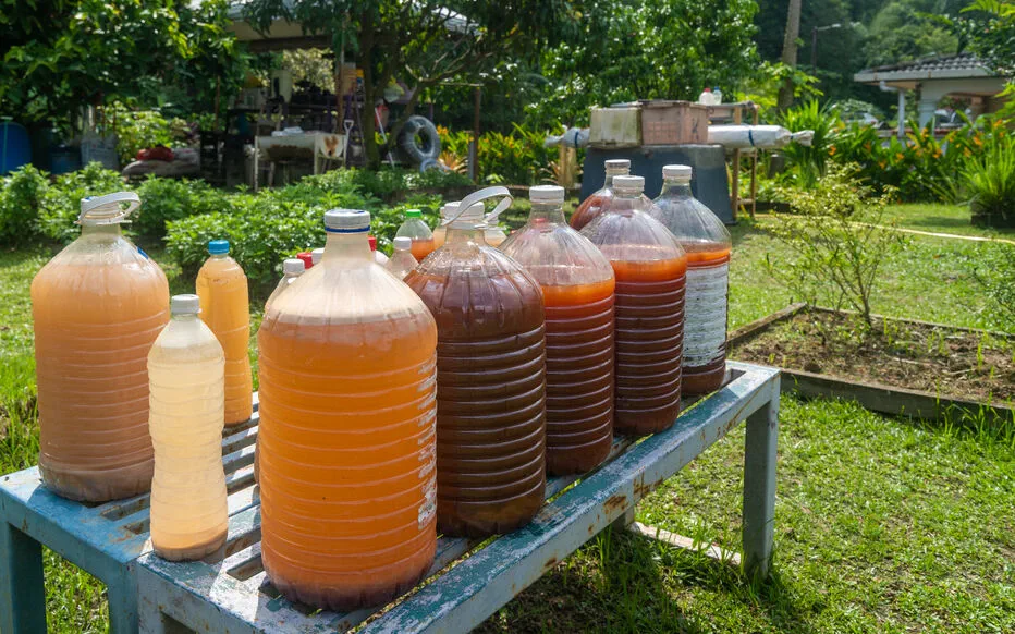 Le jus de compost : un liquide vertueux