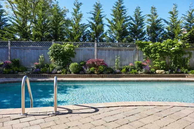 Les arbres à éviter près d'une piscine privée pour des raisons pratiques et esthétiques