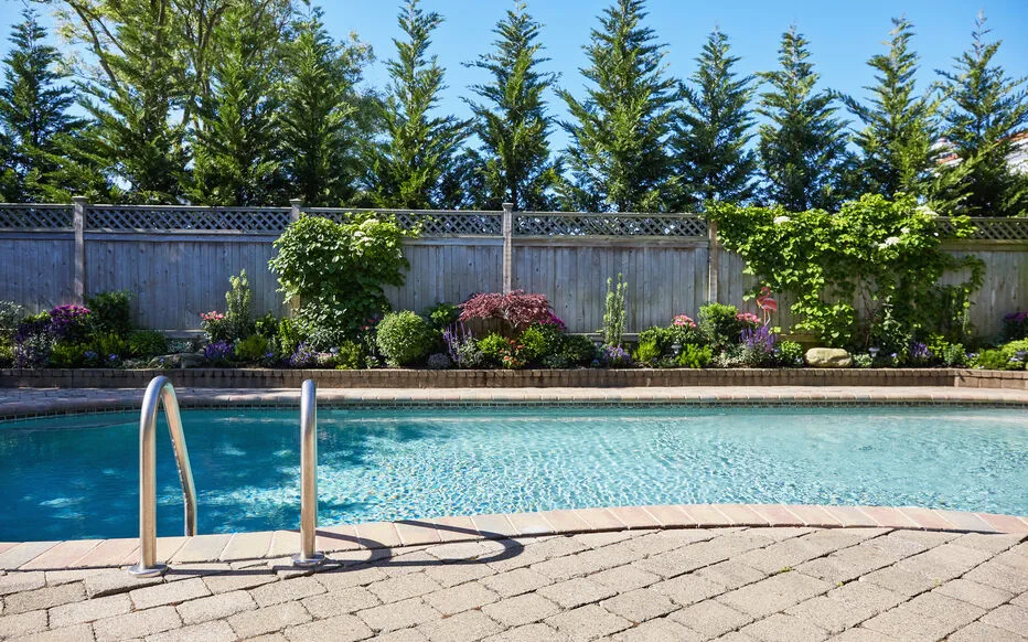 Les arbres à éviter près d'une piscine privée pour des raisons pratiques et esthétiques