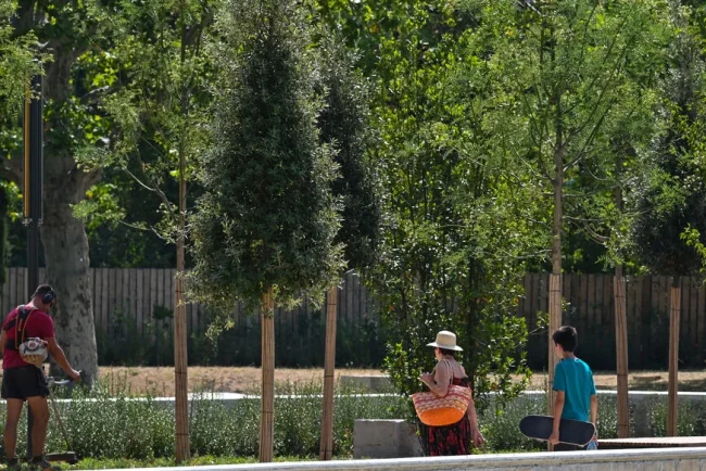 Lyon propose un refuge nocturne dans un parc pour lutter contre la vague de chaleur