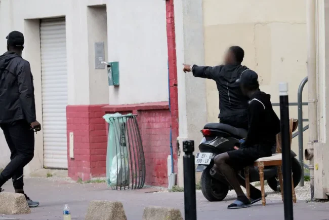 Maxime Sage : « Semer c'est étudier, récolter c'est investir dans l'avenir »