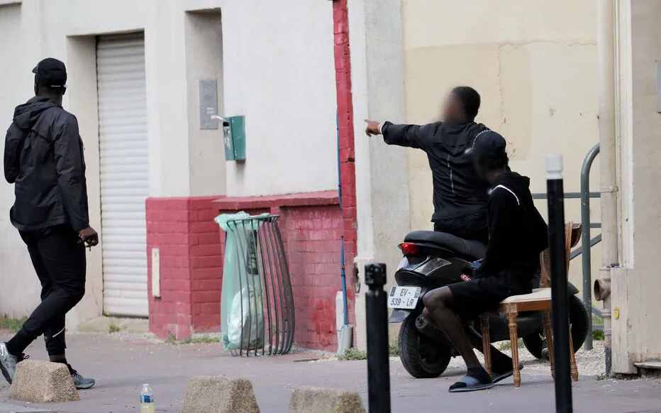 Maxime Sage : « Semer c'est étudier, récolter c'est investir dans l'avenir »