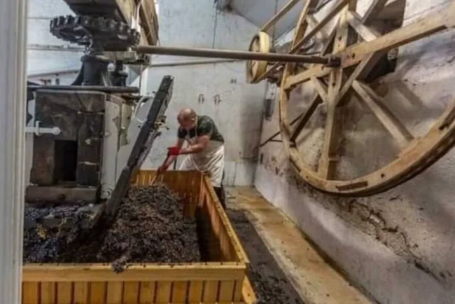 Réfection du pressoir ancestral de la maison Baudette : un héritage viticole restauré