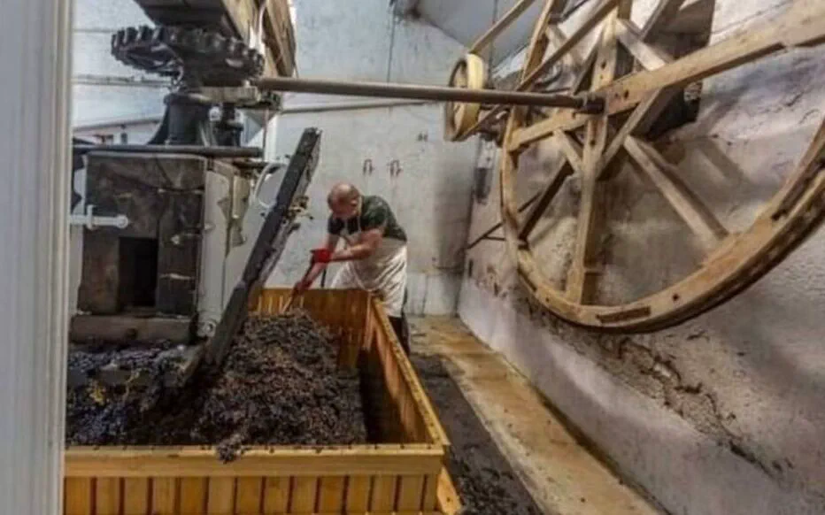Réfection du pressoir ancestral de la maison Baudette : un héritage viticole restauré