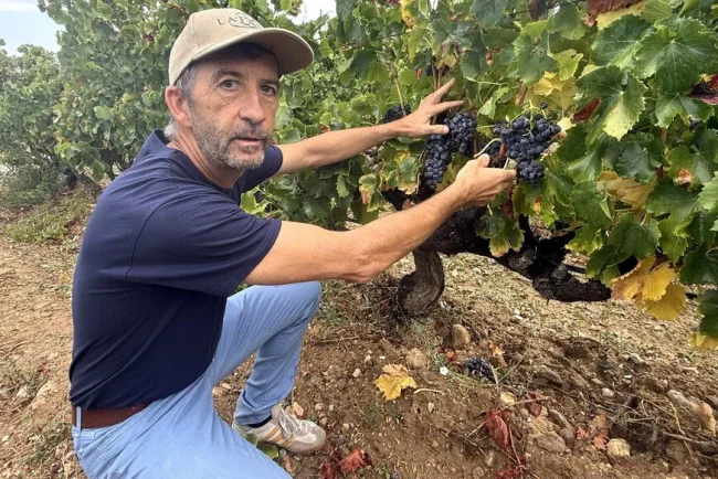 Réunion matinale électrique au domaine Lafage : un mercredi matin frais