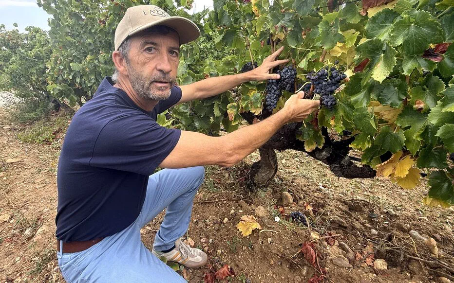 Réunion matinale électrique au domaine Lafage : un mercredi matin frais