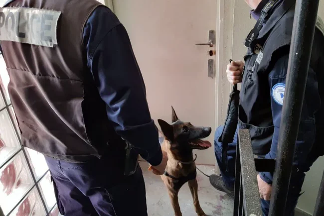 Stupéfiants et armes saisis dans un appartement à Compiègne