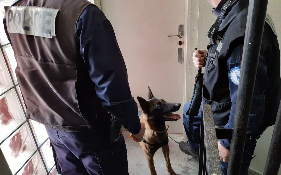 Stupéfiants et armes saisis dans un appartement à Compiègne