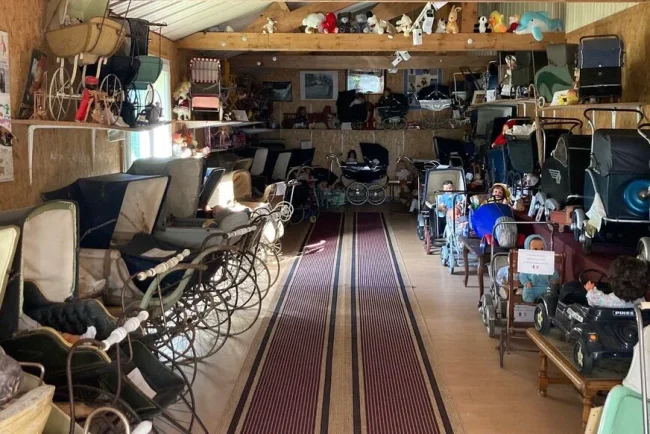 Un trésor historique dans le jardin de Saint-Aubin-de-Scellon