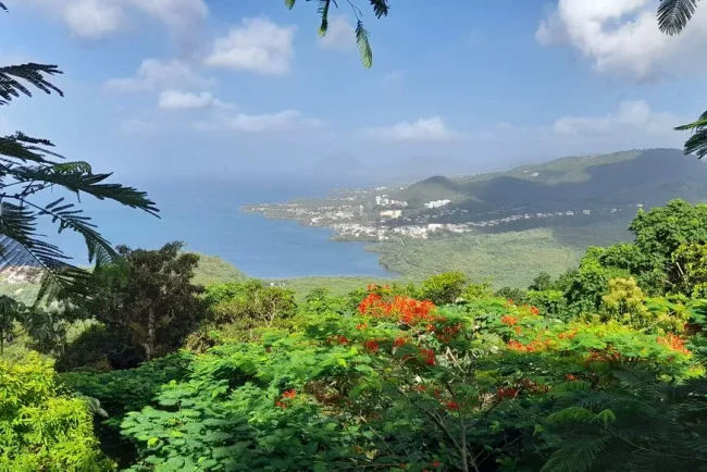 An Mao Héritage : Un Jardin Honorant l'Histoire et la Culture Martiniquaise