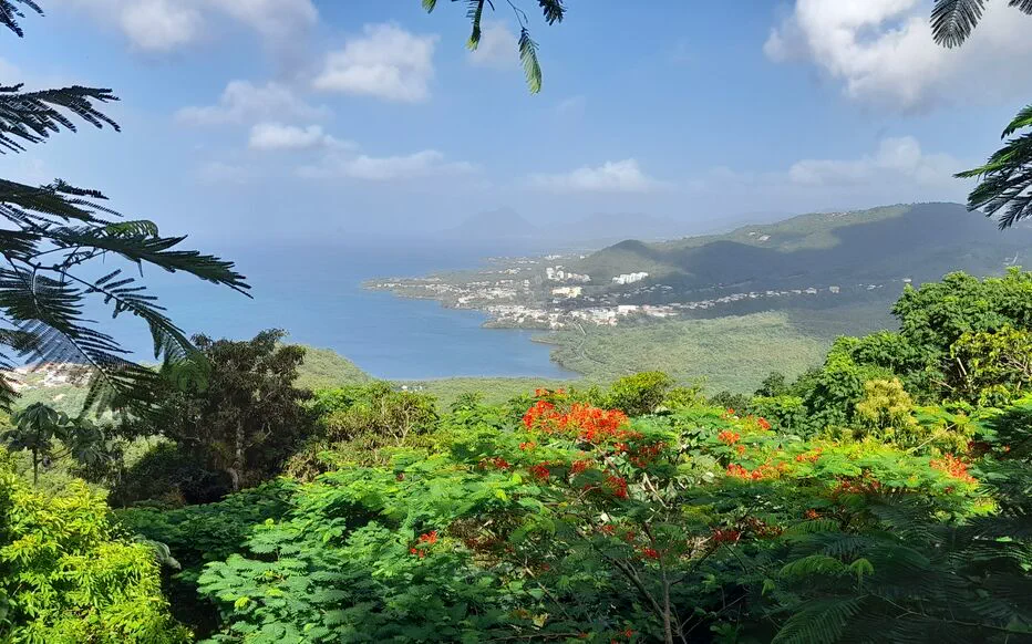 An Mao Héritage : Un Jardin Honorant l'Histoire et la Culture Martiniquaise