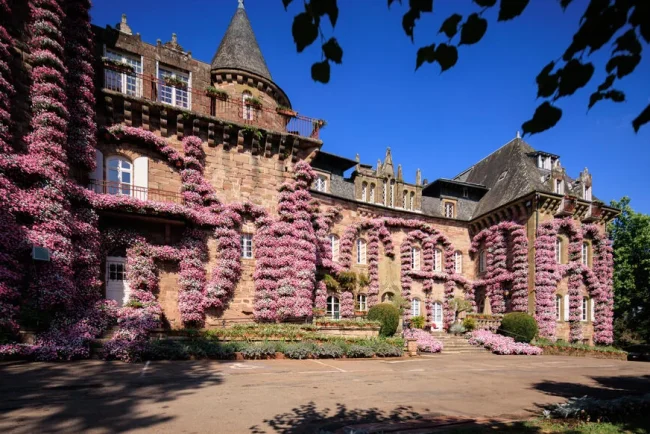 Castel Novel : une transformation florale impressionnante