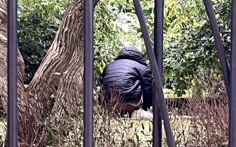 Des corps et des plumes dans un buisson à Saint-Denis