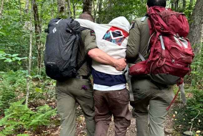 Expérience inoubliable dans les Catskill : quatre randonneurs se perdent après avoir consommé des champignons hallucinogènes