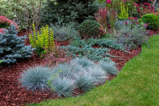 Gérer un jardin dans un climat chaud : les solutions durables