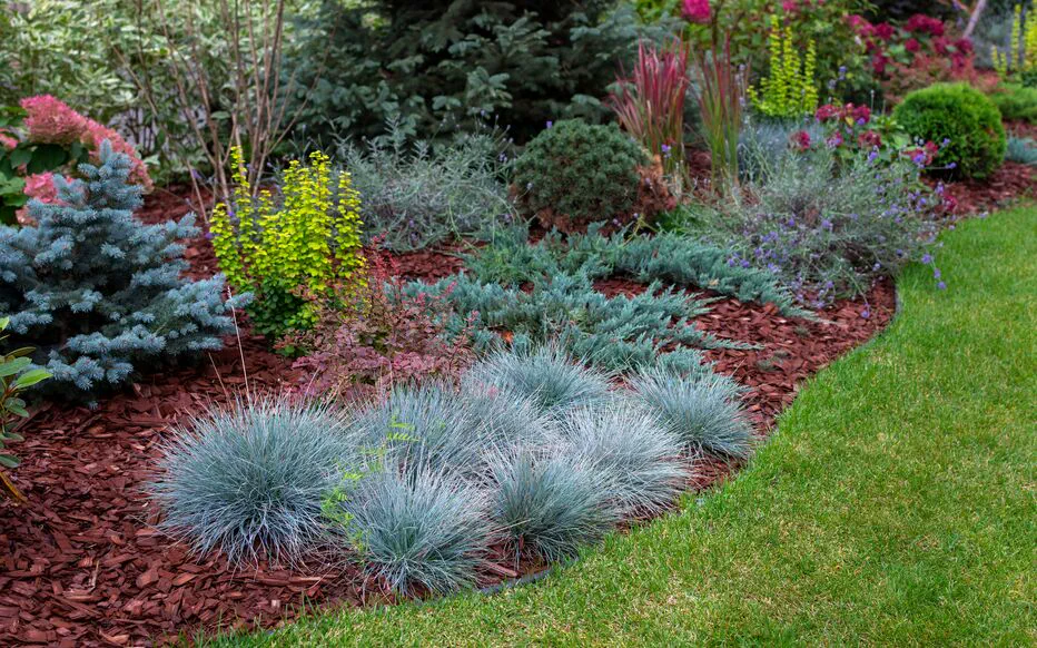 Gérer un jardin dans un climat chaud : les solutions durables