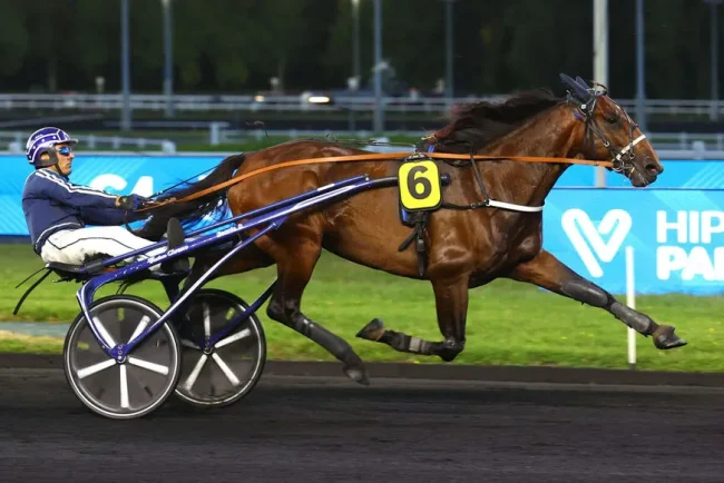 Killer Meslois remporte le Prix Brunois