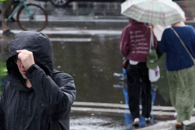 La croissance économique française revigorée selon l'INE