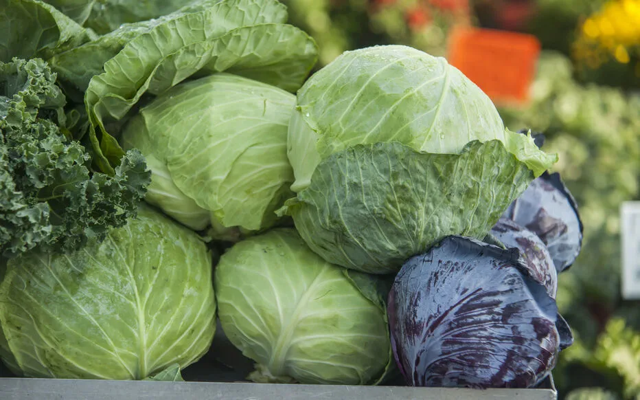 La douceur de l'automne : la dernière danse des fruits et légumes d'été