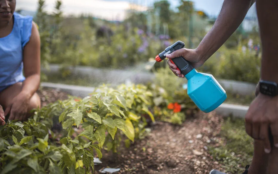 La Kaolinite : Un Écrin Naturel pour Votre Jardin