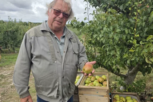 La paperasse accable les arboriculteurs d'Île-de-France