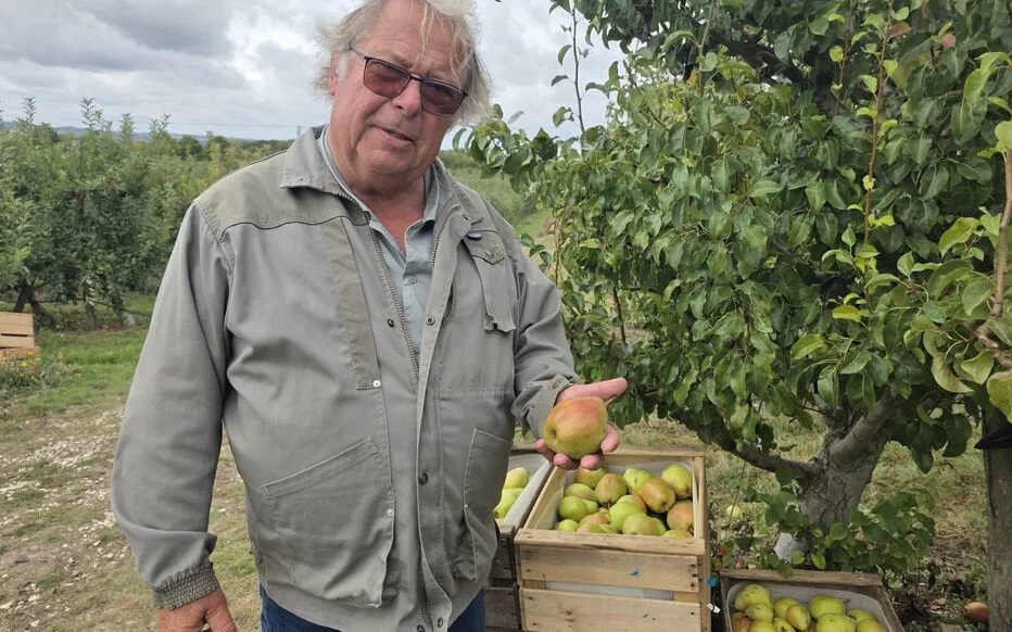 La paperasse accable les arboriculteurs d'Île-de-France