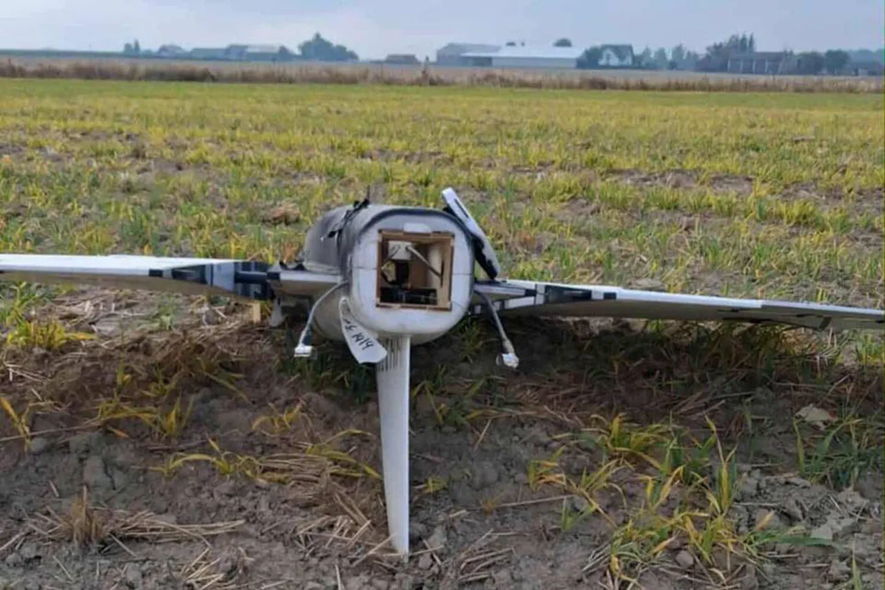 La Pologne dépense des millions pour abattre des drones