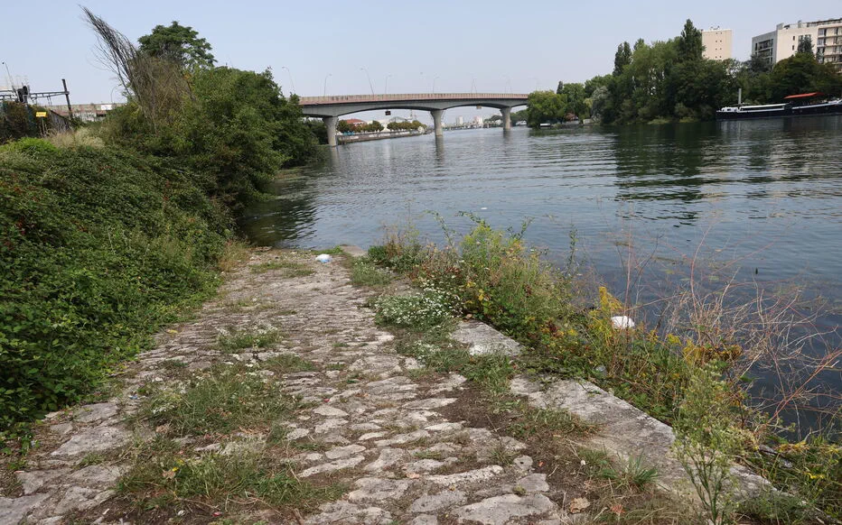 Le tueur en série de Choisy-le-Roi : un mystérieux criminel en série