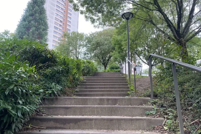 Nora, la fillette qui a échappé à l'accident