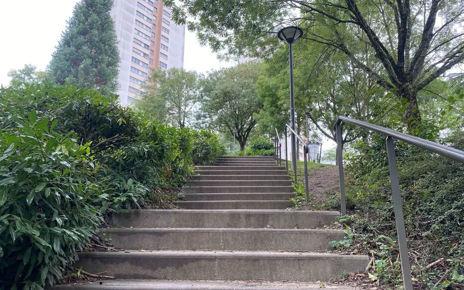 Nora, la fillette qui a échappé à l'accident